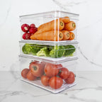 Organizador Clear Fresh 5 Litros