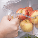 Organizador de Geladeira Quadrado com Pegador 22,3cm